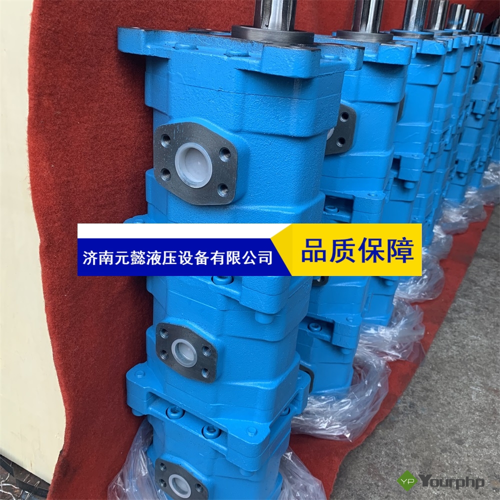 长江齿轮泵 CBY3080/3063双联高压液压泵 CBY高压齿轮泵