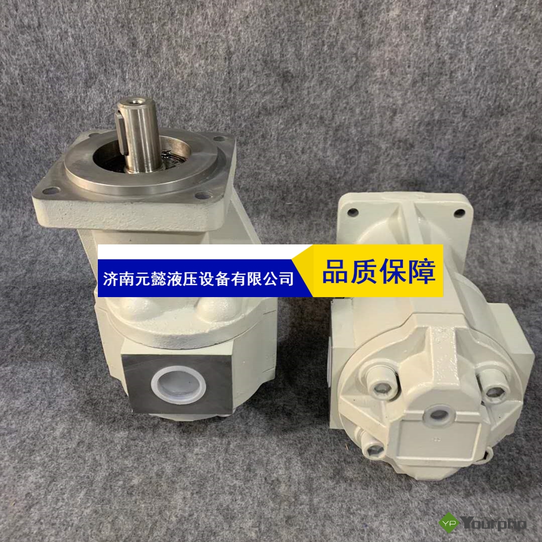 钻机CBG齿轮泵 长江高压液压泵 CBG4225单联液压泵